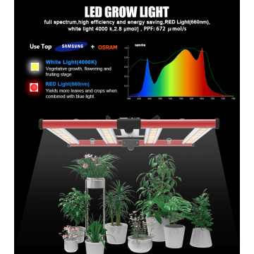 Gemüseblüte Volles Spektrum LED Wachsen Licht