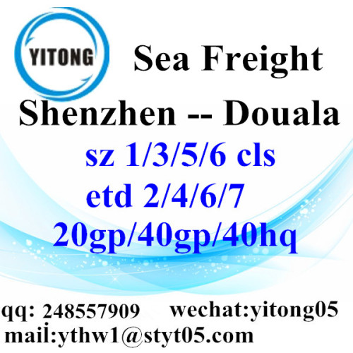 Shenzhen Logistics Services to Douala