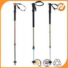 heated ski pole / aluminum extension pole / ski pole shaft / ski pole / ski stick / custom ski pole / Aluminum ski pole