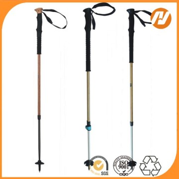 heated ski pole / aluminum extension pole / ski pole shaft / ski pole / ski stick / custom ski pole / Aluminum ski pole