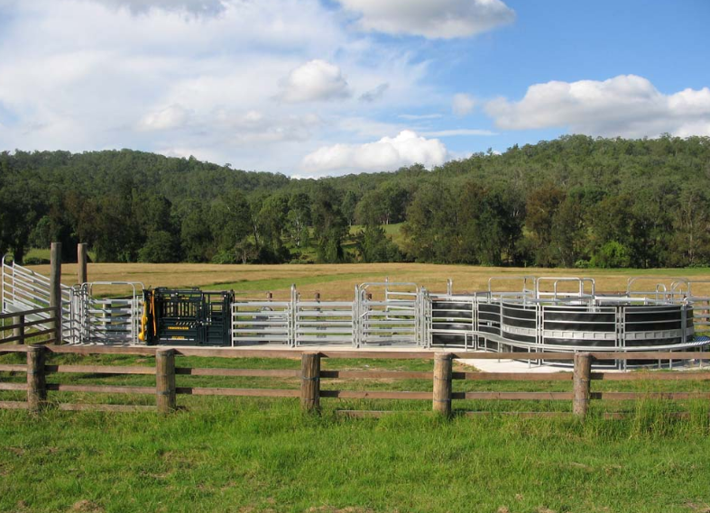 Livestock Cattle Curved Race Panels