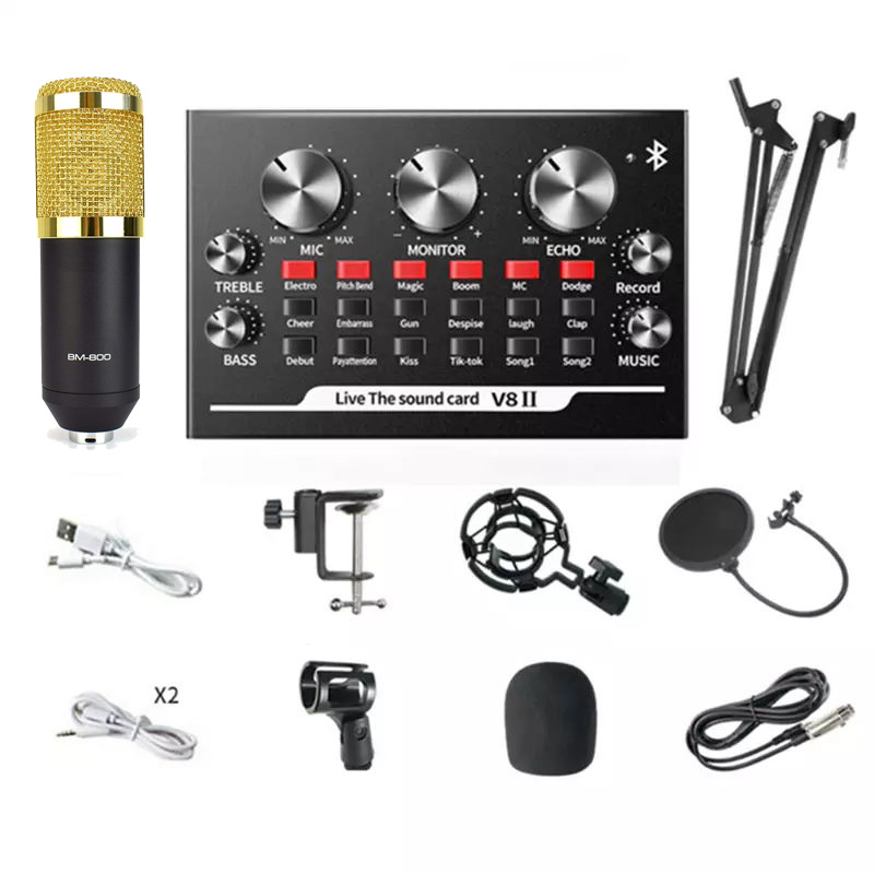 Professional Bm800 Recording Microphone With Sound Card Set