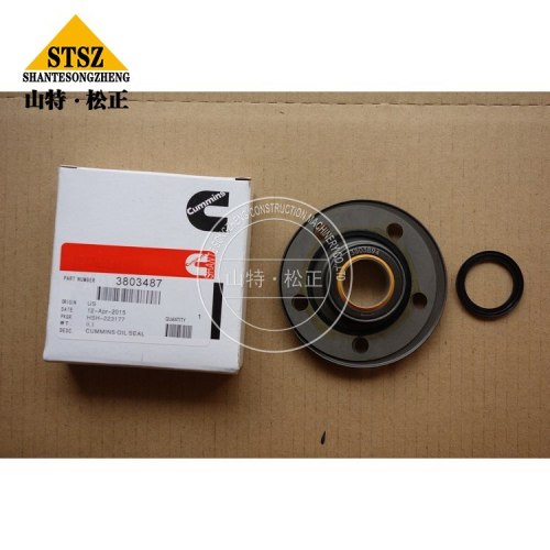 4VBE34RW3 Aksesuarlar Motor Yağı Seal 3803487