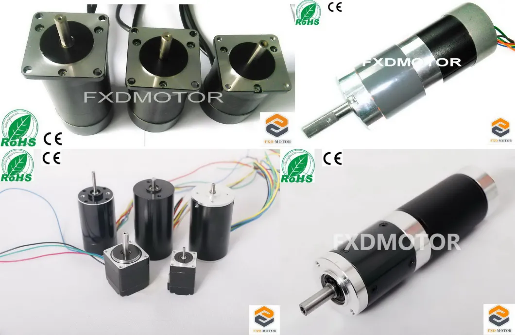 28mm BLDC Coreless Gear Motor for Jacking System of The Car