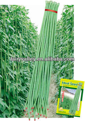 Newest Top Quality Asparagus Beans Seeds Chinese Long Green Beans Seeds For Growing