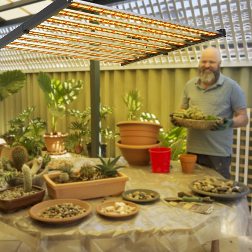 Innenhydroponic Farming LED wachsen Licht