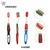 Classical adult toothbrushes