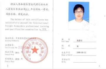 international logistics