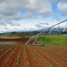 Uma máquina de irrigação de ponteiro com proteção à segurança, boa resistência à tração e fácil de transporte aquaspin