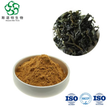 Pure Natural Oolong Tea Extract 10:1 20:1