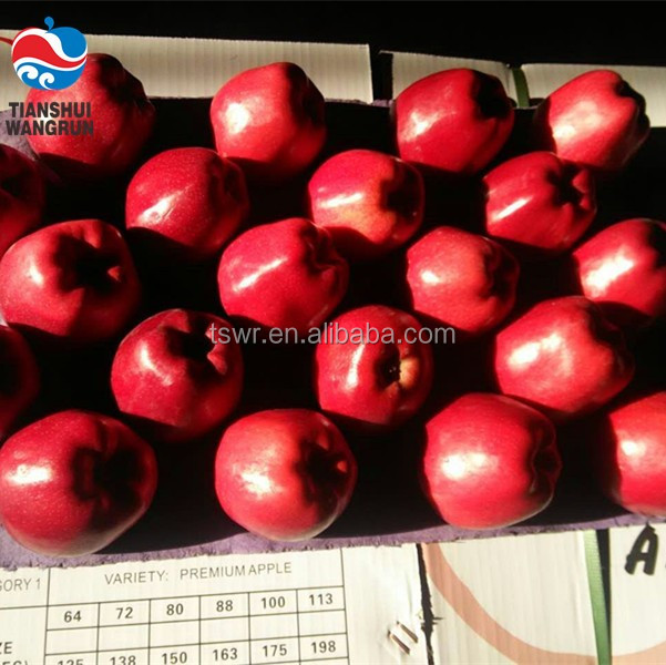 natural red star apple sweet red apple round apple with thin skin