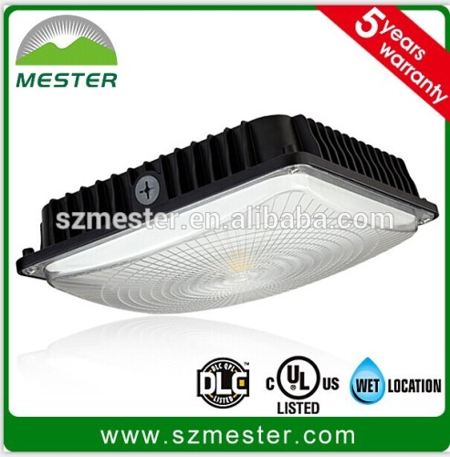 High Efficiency Canopy Lighting LED Canopy lights for lighting parking garages