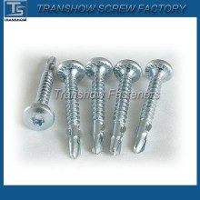 Torx pan head drilling screws with wing