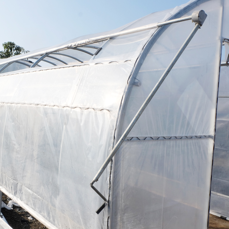 Quality assurance plastic garden poly tunnel greenhouse