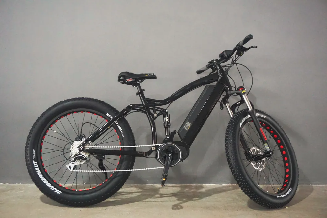 Snow Ebike Electric Mountain Bicycle China Electric Bike with Hidden Battery