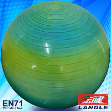 nice ball customized photo exercise ball