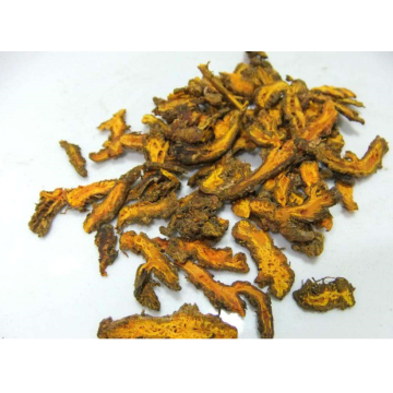 الطبيعية coptis chinensis لليرق اليرقان المعدة أيضا