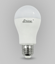 Low Voltage Dimmable LED Light Bulbs