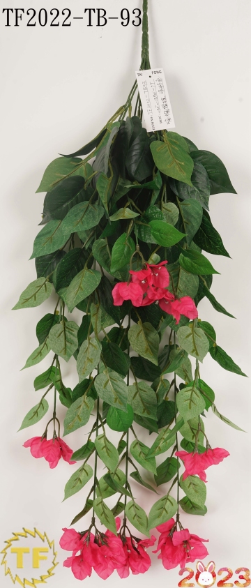 32 "Dark pink Bougainvillea hanging basket