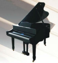 DP-8006 DIGITAL PIANO