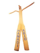 Inflatable Air Dancer (IFT-041)