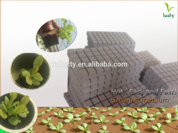 Professional Flower used growing medium, Nursery medium, cuttage medium