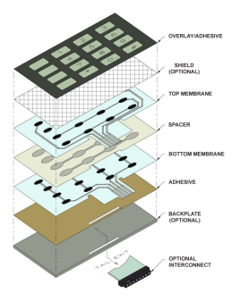 membrane switch