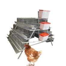  Cheap Battery Cage Laying Hens for Poultry Farms 