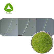 Organic ISO90001 Aphanizomenon Flos Aquae Extract Powder