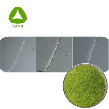 ISO90001 Organic Aphanizomenon Flos Aquae Extract Powder