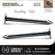 hot dip large head clout nails