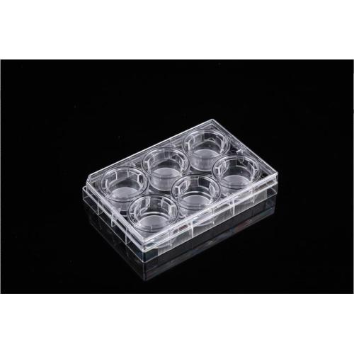 Pet Memberane Cell Culture Inserts สำหรับแผ่น 6 หลุม