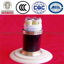 Fluorine plastic insulated & sheath power cable (FF)