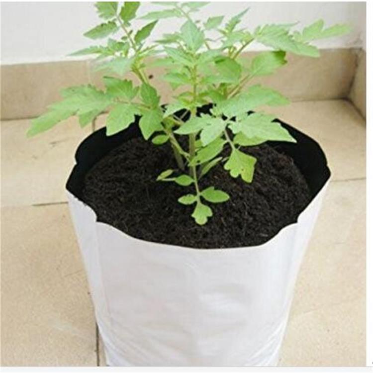 Vegetables Growing Bags Planter Black Plastic Bag