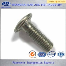 ASTM A307 stainless steel Timber bolt