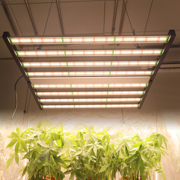 Phlizon Samsung Greenhouse Plants Growing Light 1000