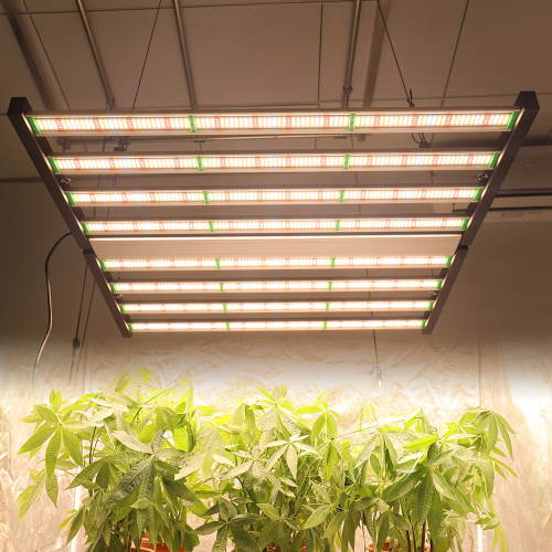 Phlizon 1000w 8 Bars Led Grow Light