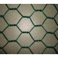 Electro Galvanized Hexagonal Protecting Wire Netting