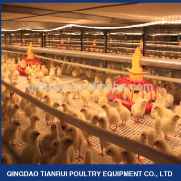 Automatic poultry equipment for broiler raising
