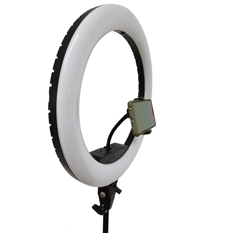 ring led lamp