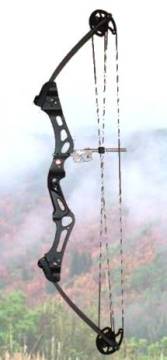 Compound Bow