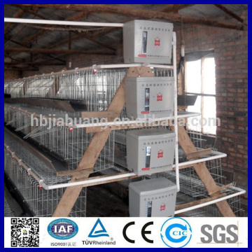 Battery chicken layer cage sale for Pakistan farm