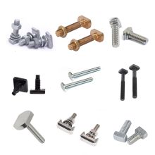 Customized SS304 SS316 Stainless Steel Tee Bolt Set