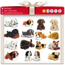 Whole Series of Dog Breeds Stuffed Toy Dogs