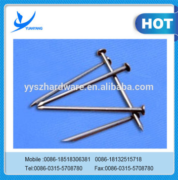 carbon iron common roofing nail