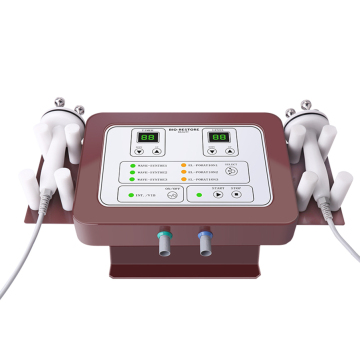 Professional Japanese Electroporation Beauty Instrument with Micro Current