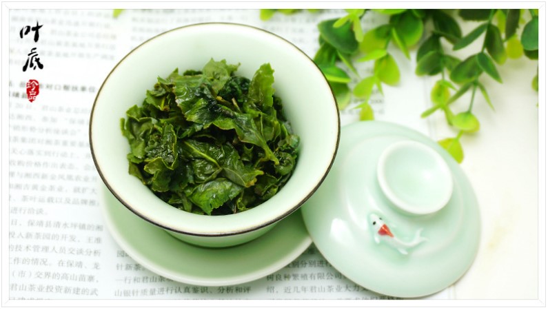 Famous Chinese Oolong tea brand Tie Guan Yin Ti Kuan Yin Ti Kwan Yin Iron Goddess of Mercy Oolong Tea