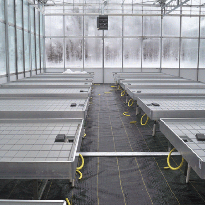 Greenhouse Tidal Seedbed Seedbed Bench