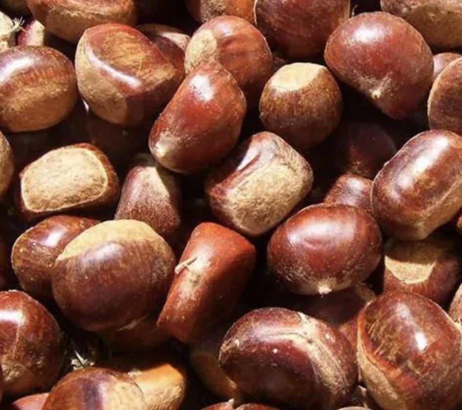 Delicious Chestnut Kernels1 Png