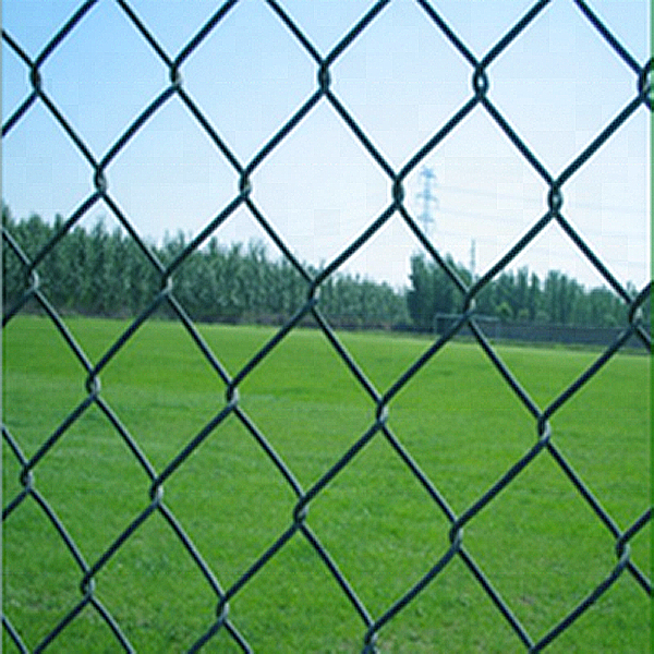 Galvanized chain link mesh